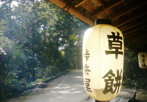 自然を求めて奈良の山へGO！