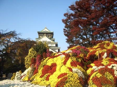 関西文化の日 大阪城に行ってきました♪